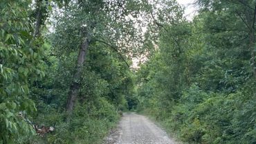lenzo-trail